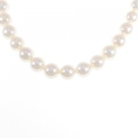 シルバークラスプ アコヤパール ネックレス 8-8.5mm