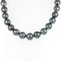 シルバークラスプ 黒蝶パール ネックレス 9-10.5mm