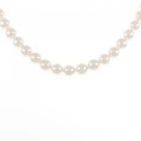 シルバークラスプ アコヤパール ネックレス 5.5-6mm