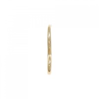 ミラモア 獅子座 ピアス 片耳