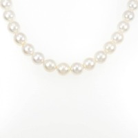 【新品】シルバークラスプ アコヤパール ネックレス 8-8.5mm