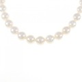シルバークラスプ アコヤパール ネックレス 8-8.5mm