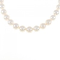 シルバークラスプ アコヤパール ネックレス 8-8.5mm