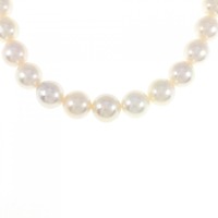 シルバークラスプ アコヤパール ネックレス 9-9.5mm