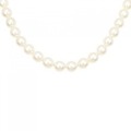 シルバークラスプ アコヤパール ネックレス 7-7.5mm