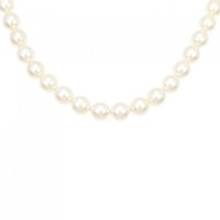 シルバークラスプ アコヤパール ネックレス 7-7.5mm