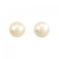 PT 白蝶パール ピアス 12.2mm