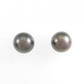 PT 黒蝶パール ピアス 12.5mm