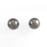 PT 黒蝶パール ピアス 12.5mm