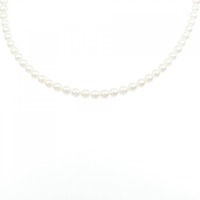 シルバークラスプ アコヤパール ネックレス 3.5-4mm