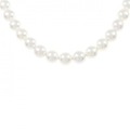 【新品】シルバークラスプ 花珠 アコヤパール ネックレス 7-7.5mm