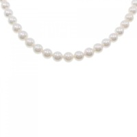 シルバークラスプ アコヤパール ネックレス 6.5-7mm