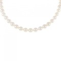 シルバークラスプ アコヤパール ネックレス 6-6.5mm