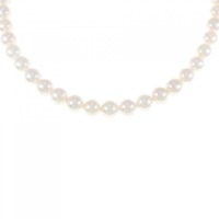 シルバークラスプ アコヤパール ネックレス 6-6.5mm