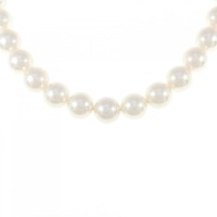 シルバークラスプ アコヤパール ネックレス 8-8.5mm