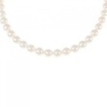 シルバークラスプ アコヤパール ネックレス 6-6.5mm