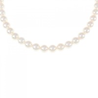 シルバークラスプ アコヤパール ネックレス 6-6.5mm