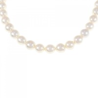 シルバークラスプ アコヤパール ネックレス 7-7.5mm