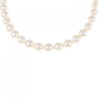 シルバークラスプ アコヤパール ネックレス 7.5-8mm