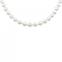 シルバークラスプ アコヤパール ネックレス 7-7.5mm