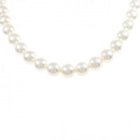 シルバークラスプ アコヤパール ネックレス 8.5-9.0mm
