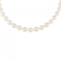 シルバークラスプ アコヤパール ネックレス 7-7.5mm