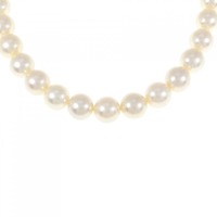 シルバークラスプ アコヤパール ネックレス 9-9.5mm