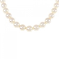シルバークラスプ アコヤパール ネックレス 8-8.5mm