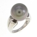 PT 黒蝶パール リング 12.5mm