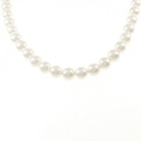 シルバークラスプ アコヤパール ネックレス 6.5-7.0mm