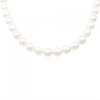 【新品】シルバークラスプ アコヤパール ネックレス 7.5-8mm