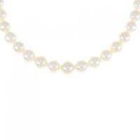 シルバークラスプ アコヤパール ネックレス 7-7.5mm