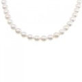 シルバークラスプ アコヤパール ネックレス 8-8.5mm