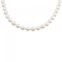シルバークラスプ アコヤパール ネックレス 8-8.5mm
