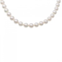 シルバークラスプ アコヤパール ネックレス 6.5-7mm