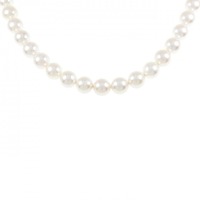 【新品】シルバークラスプ アコヤパール ネックレス 7.5-8.0mm