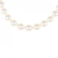 シルバークラスプ アコヤパール ネックレス 9-9.5mm