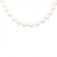 シルバークラスプ アコヤパール ネックレス 8.5mm