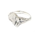 DELPHI（デルフィー）iwa ring S dr8