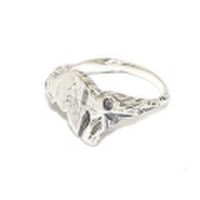 DELPHI（デルフィー）iwa ring S dr8