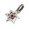 ROYAL ORDER(ロイヤルオーダー) 　TINY JEWISH STAR w/RED SP253