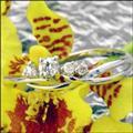 【送料無料】18ホワイトゴールドダイヤモンドリング〔0.110ｃｔ〕