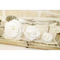 【定形外OK】【ローズ２０色】プリザーブドフラワー ヘッドパーツ　バラ　単品　M (4〜4.5cm)