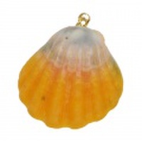 サンライズシェル ハワイの大自然が作り出した希少なサンライズシェルネックレス