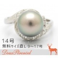 タヒチパール ダイヤ リング 14号 Pt900 10.0mm D:0.13 指輪【黒真珠】【ダイヤモンド】【プラチナ】【レディース】【女性用】