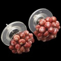 ニイハウシェル 本格ニイハウシェルピアス