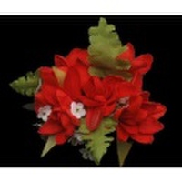 ハワイアンヘアクリップ チューブローズヘアクリップ レッド