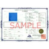 鑑別書作成(ノーブルジェム発行)