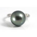 黒蝶真珠 11mmアップ リング(指輪) プラチナ900 ダイヤモンド : 0.10ct ( ブラックパール / 黒真珠 / 黒蝶パール / タヒチパール / タヒチ真珠 / Pt900 )　【 送料無料 】