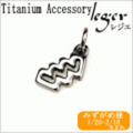 純チタンペンダントトップ　星座mini (みずがめ座) T235